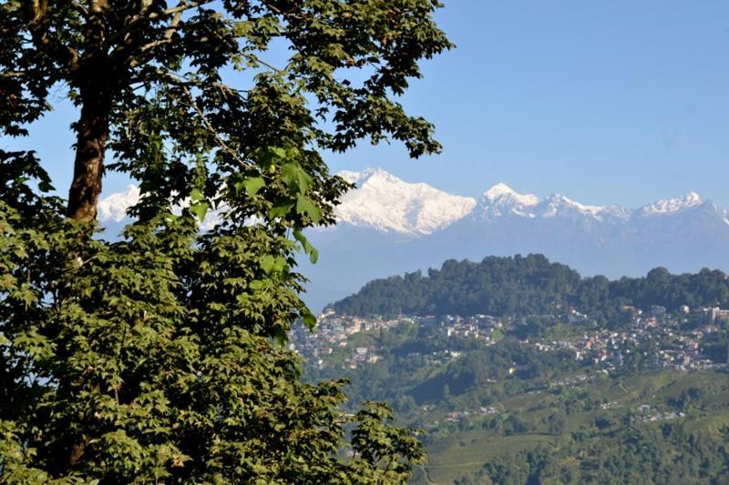 Darjeeling Bnb Екстер'єр фото