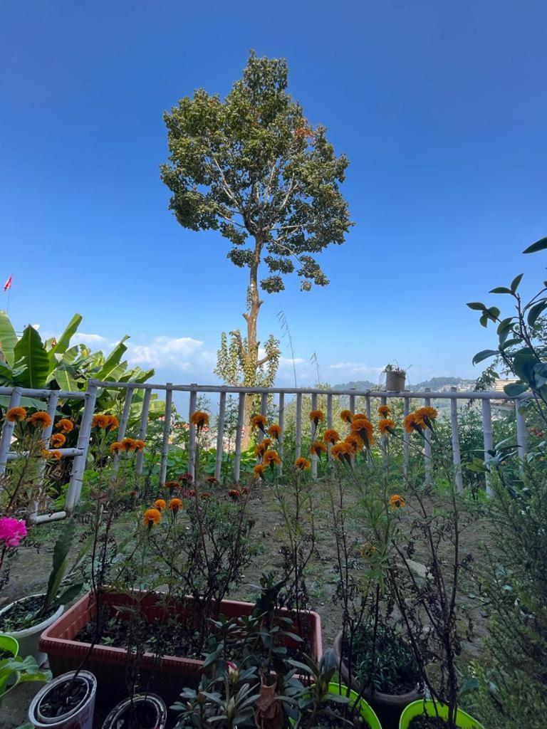 Darjeeling Bnb Екстер'єр фото